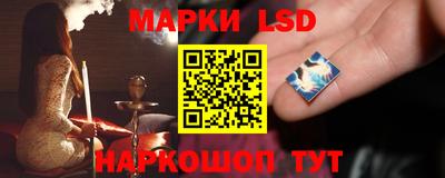 спиды Камышлов